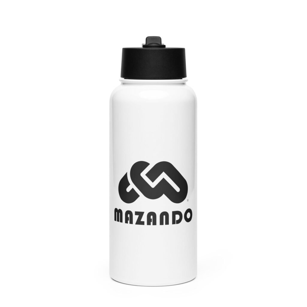 Stainless steel water bottle with a straw lid